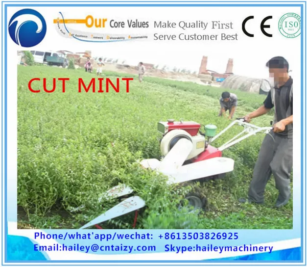 Corn/alfalfa/soybean/mint/jute/kenaf/wheat/maize/chilli/paddy harvester