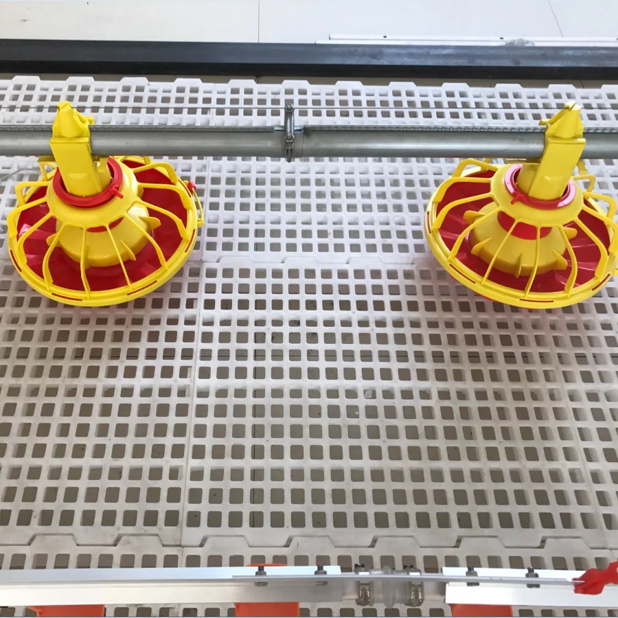 
Оборудование для кормления птиц и цыплят, полная автоматическая линия подачи и питья бройлеров 