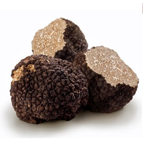 2019 Crop Frozen Tuber Indicum Chinese Frozen Truffle