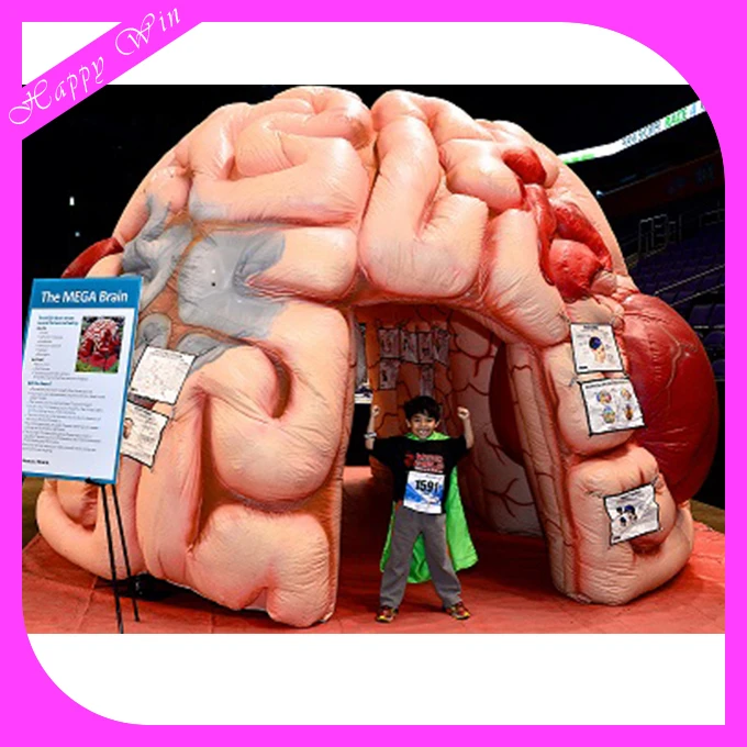 Attractive giant inflatable brain model customized inflatable organ brain model for display