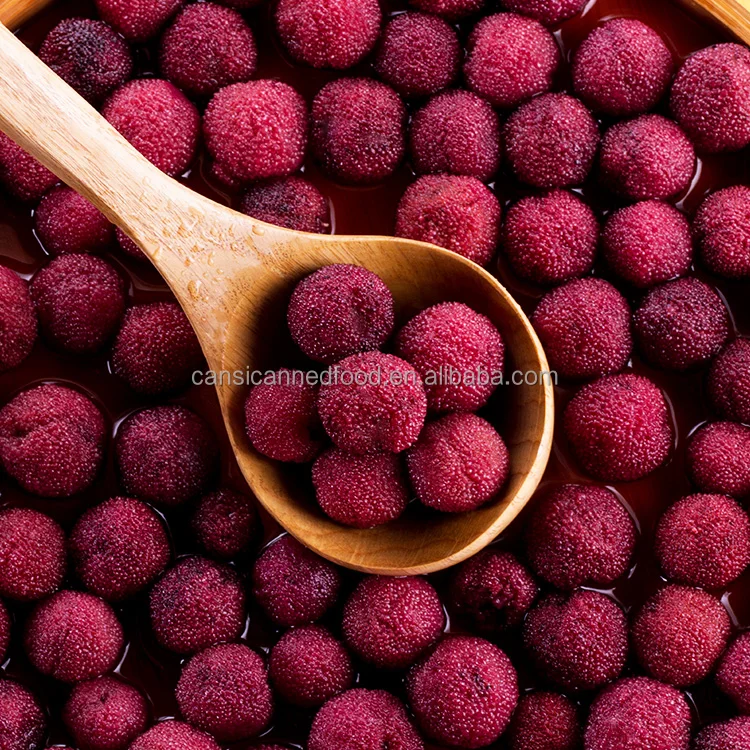 Zhenxin High Quality Canned Fruits Canned Bayberries In Syrup Canned Waxberry