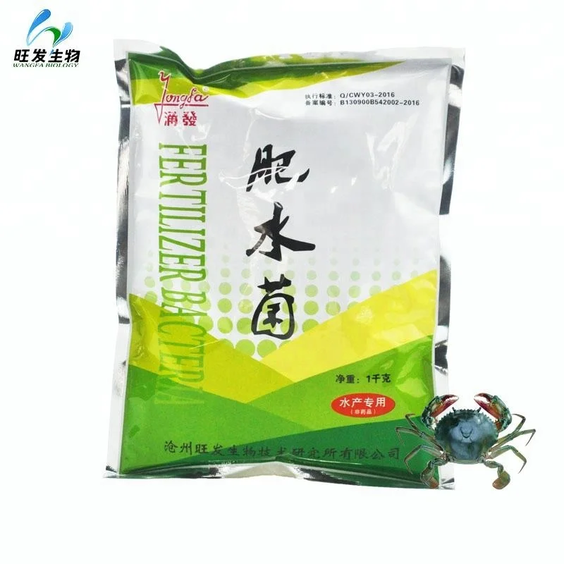 
Probiotic use in aquaculture for purifying the water and nourishing the pond water 