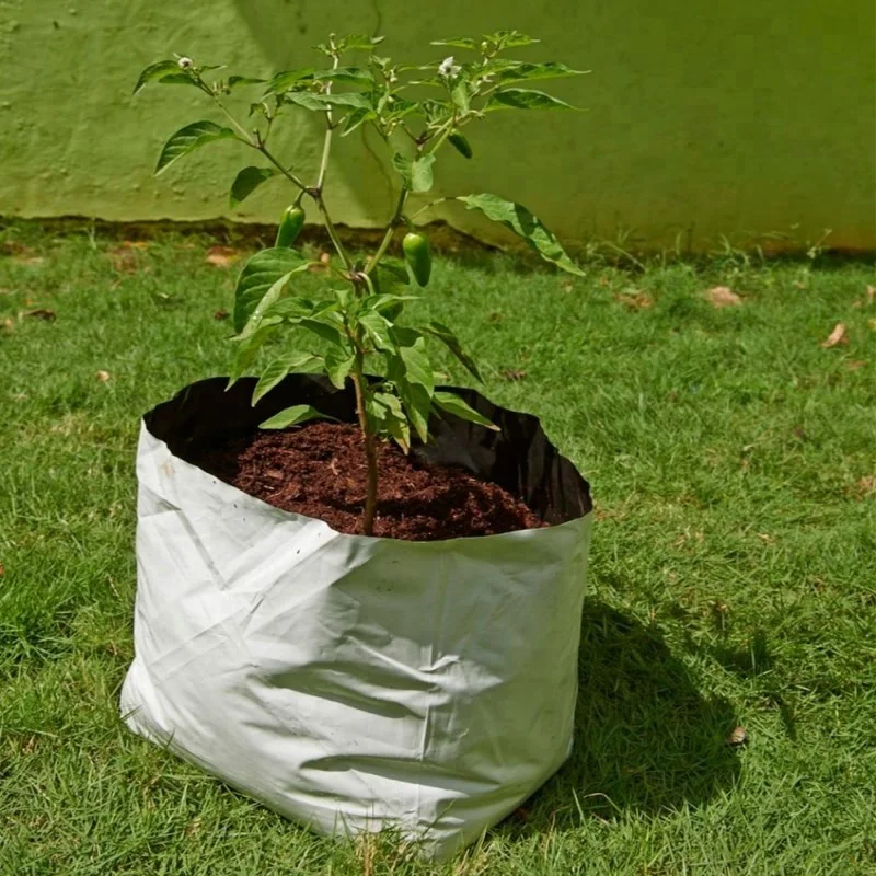 30 gallon black and white grow bag for fruit vegetable plantation