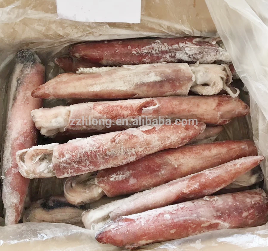 Frozen loligo squid whole and tentacle tube