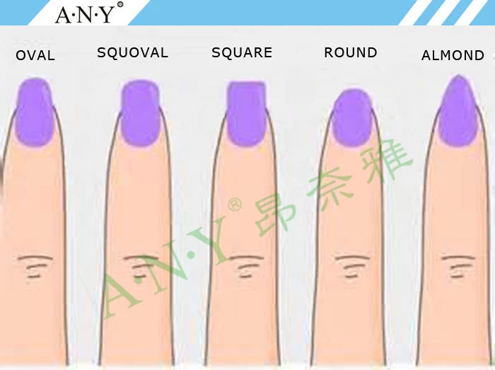 ANY Crystal Beauty Nails Design 500PCS per Roll Paper Nail Form Fish Shape