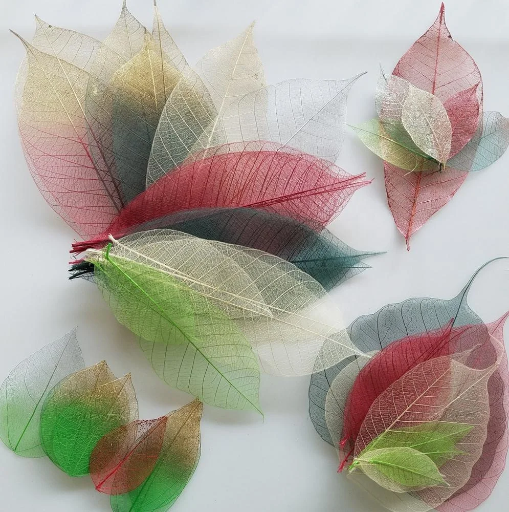 Small Medium Large Bulk Pack Natural Skeleton Leaves For Wedding Table Decoration