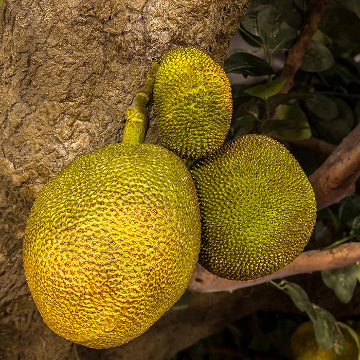 China Factory Fake Plastic Restaurant Decoration Artificial Tropical Fruit Jackfruit Trees