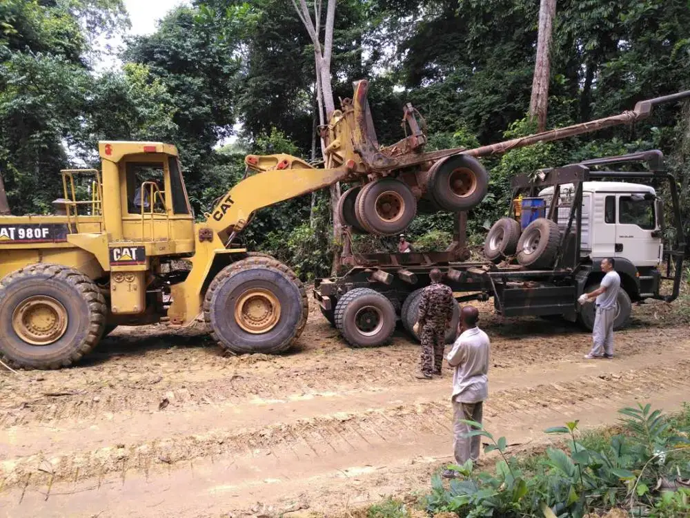 Wooden round logs/timber/ BIRCH/ ADOUNG/DABEMA/ OKAN/ RED ZEBRA/ TALI/ ZINGANA