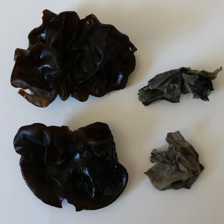 
Wild dried agaric from Auricularia auricula organicdried agaric 