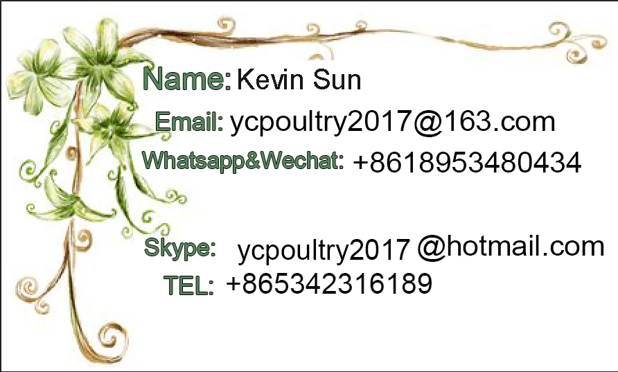 contact information