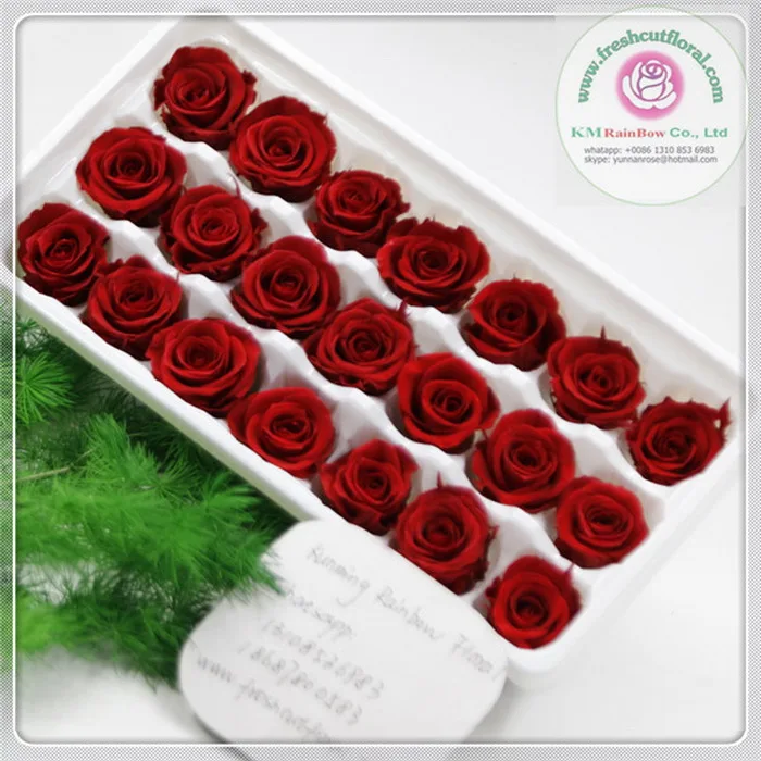 natural mini preserved rose head 2-3cm diameter in size 24 pieces/box