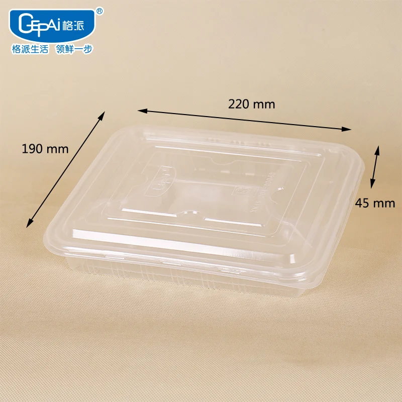 Eco-Friendly Disposable Microwave Degradable Plastic Food Containers 5kg Load Capacity for Hot Food Storage
