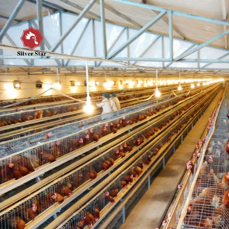 China Factory Direct Sales Poultry Equipments layer Chicken Cage/Automatic Chicken Cage&Poultry Chicken Cage