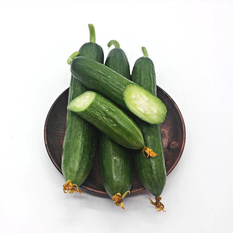 
Cucumber Vegetable Seeds Organic Vitamin Herbs Cucumber for Salad 