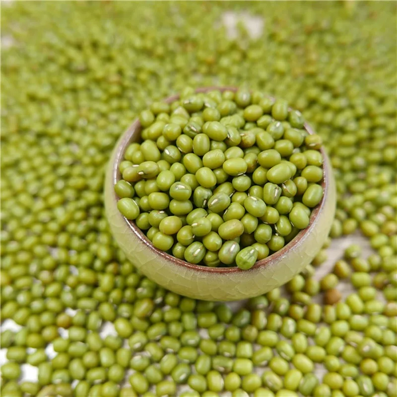 
2019 new crop green mung bean for sprouts on hot sale,Chinese origin 