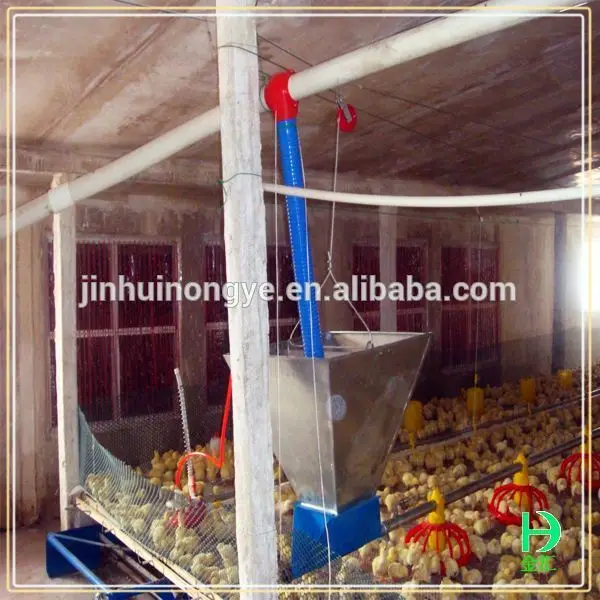 
 бройлеров птицы загородный дом дизайн  