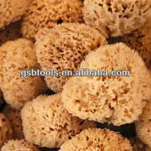 wall decorative natural sea sponge wall texture design hand paint tools sea sponge paint roller brushes