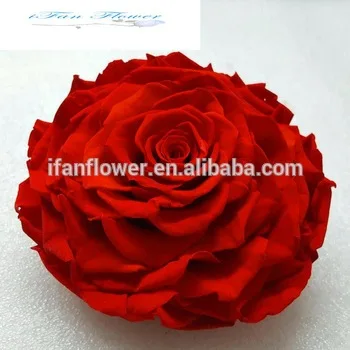 
Wedding stage decoration with flower big rose flower preserved flower roses 