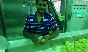 Factory Supplier Meat Patty Making Machine Burger equipment