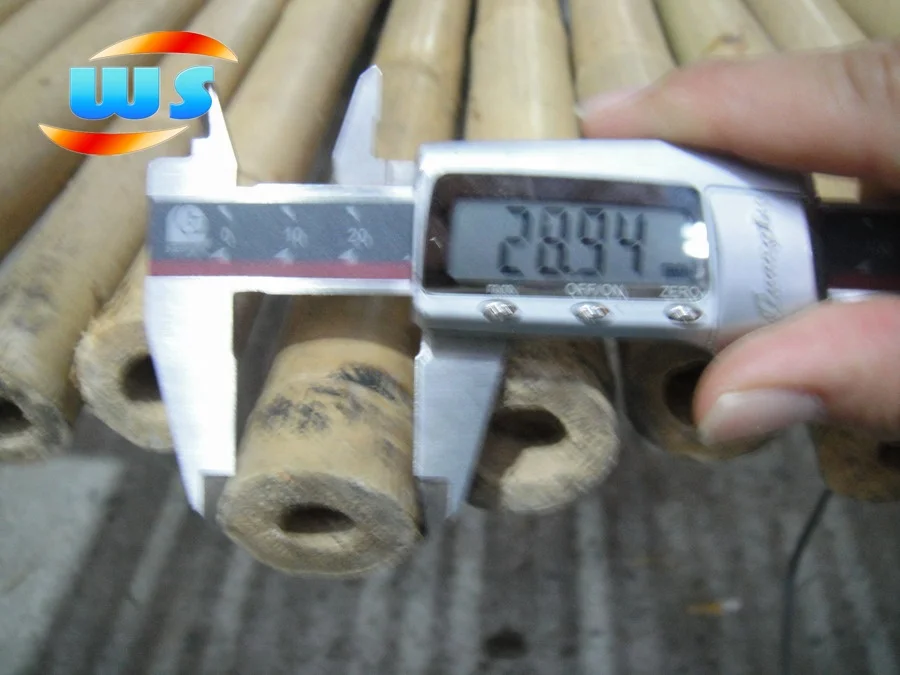 Support tree nurseries growing  of bamboo cane 305CM 28-30MM