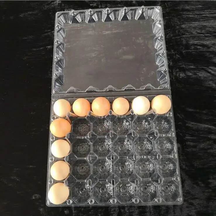 Hot Sale Cheap Clear Plastic Egg Tray For 2,6,8,10,12,15,18,20,24,30,40 Eggs