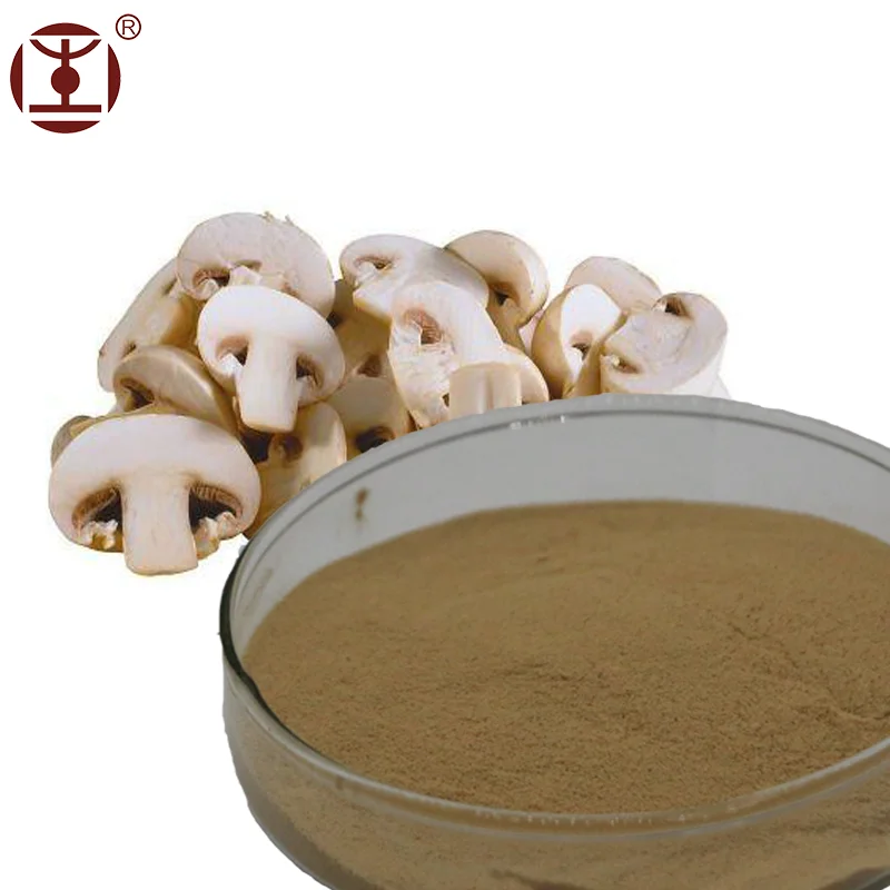 Agaricus Bisporus/White button mushroom Powder;passed GMP/HACCP Certificate