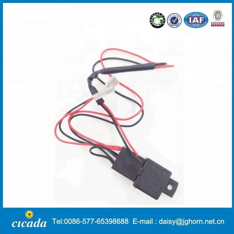 Dual air horn with compressor