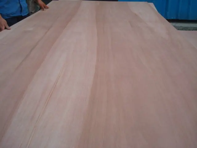 
1.22x2.44 construction bintangor plywood made in china 
