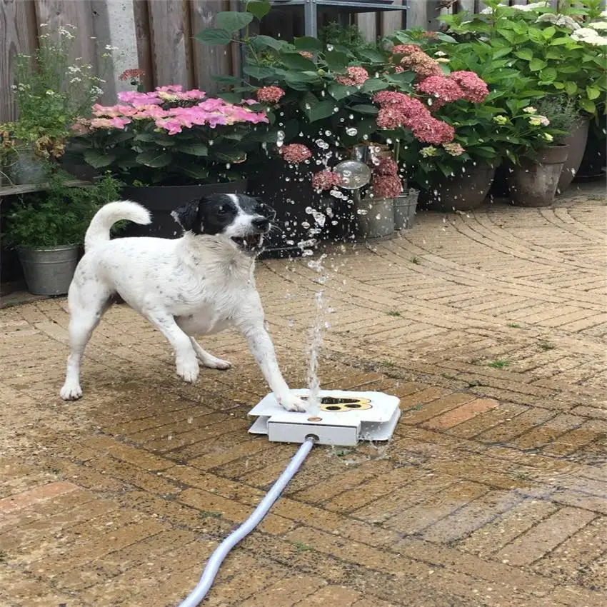super september promotion dog water fountain