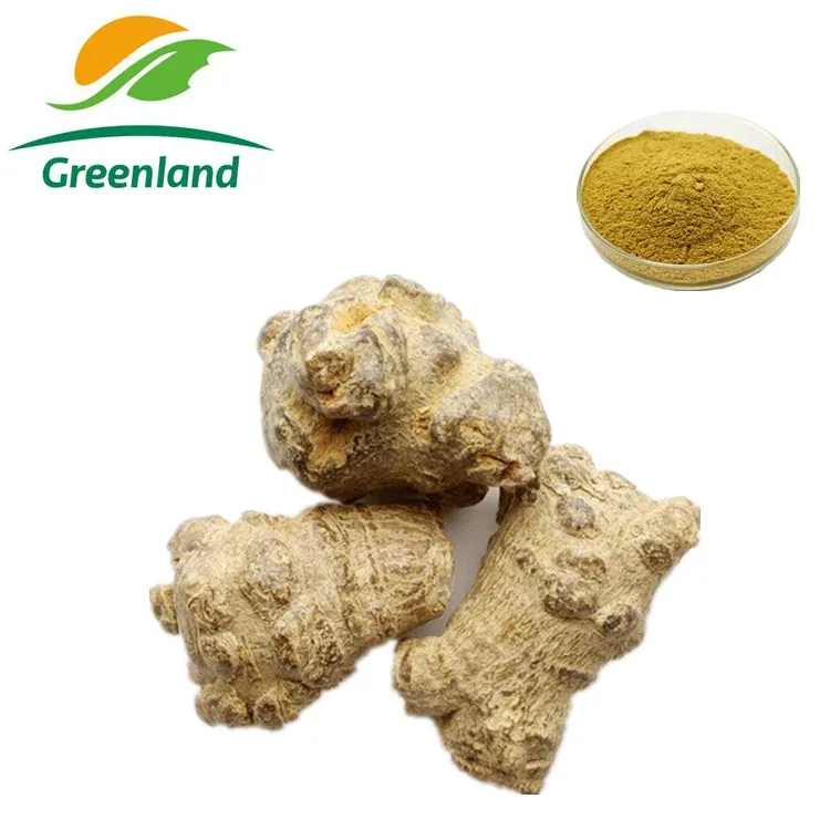 Factory Price Panax notoginseng extract, Sanchi extract, Pseudo-ginseng extract