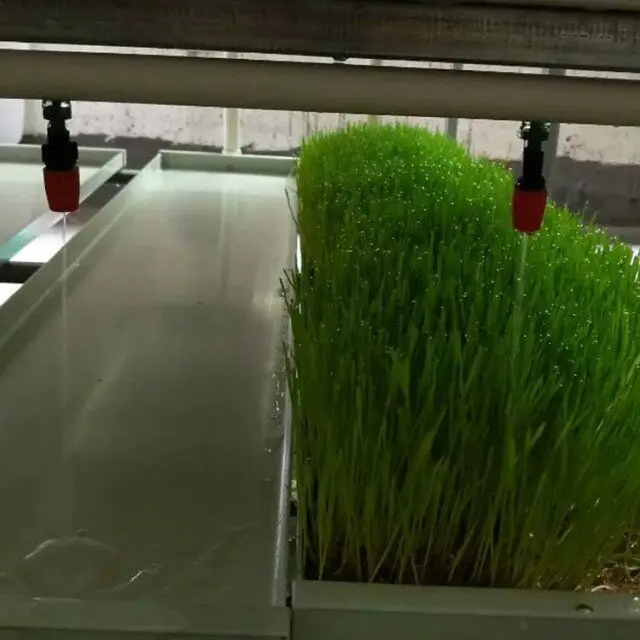 hydroponic fodder trays microgreen tray hydroponic equipment /hydroponic system