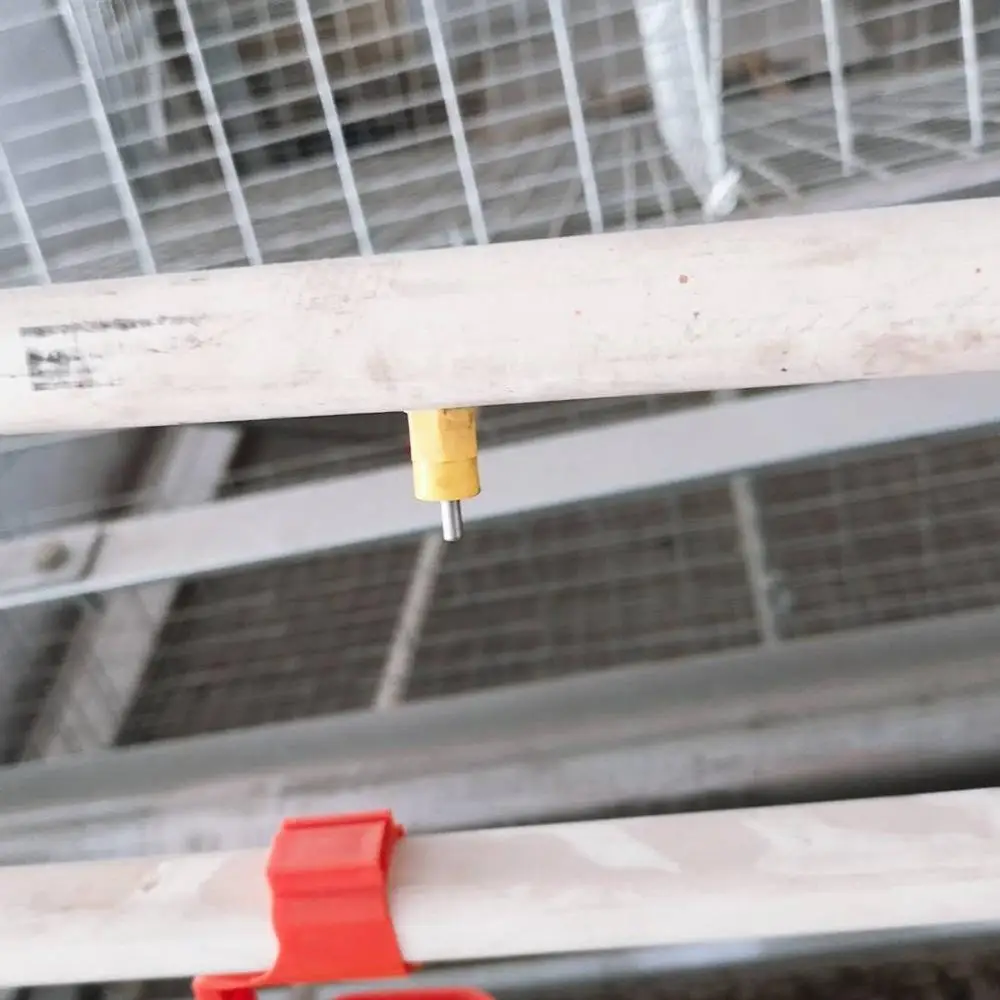 
Animal Husbandry Series Manure Cleaning System with Auto Nipple Drinker 