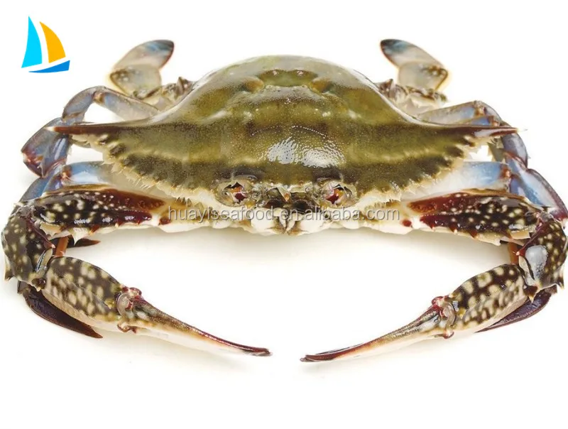 Весь «Холодное сердце» на пару синий краб плавания