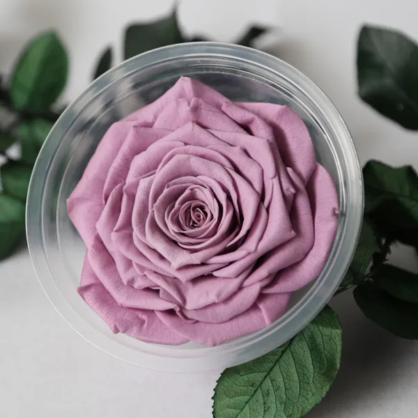 Natural Forever Rose Egypt For Any Occasion From Flower Farm