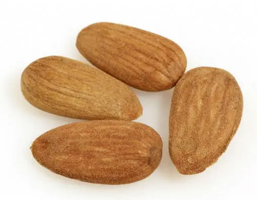 Spanish Almonds