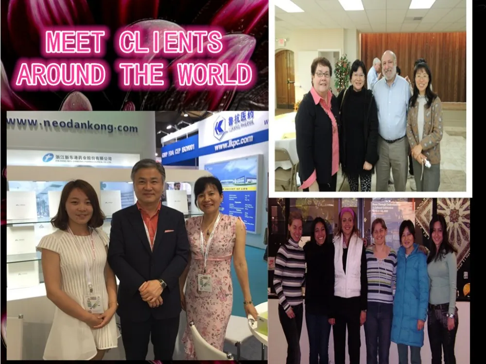 
cas 302962-49-8 Dasatinib 98% 