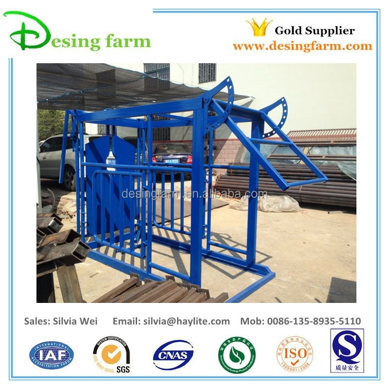 livestock equipment cattle cow dairy squeeze chute crush crate with weighing scale