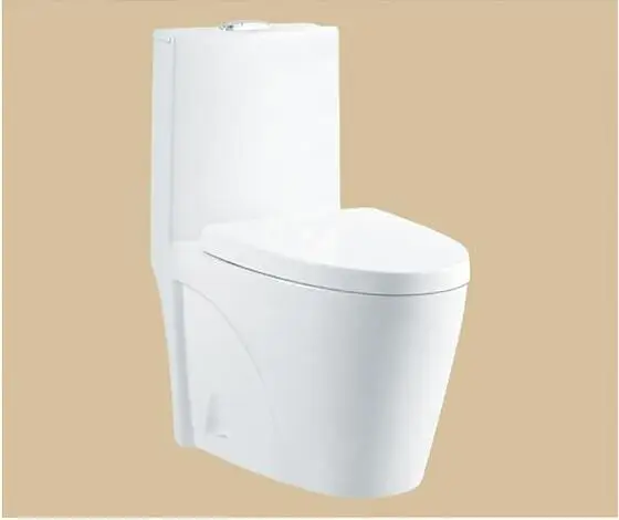 Ceramic One Piece Washdown WC With Slow Down Toilet Seat