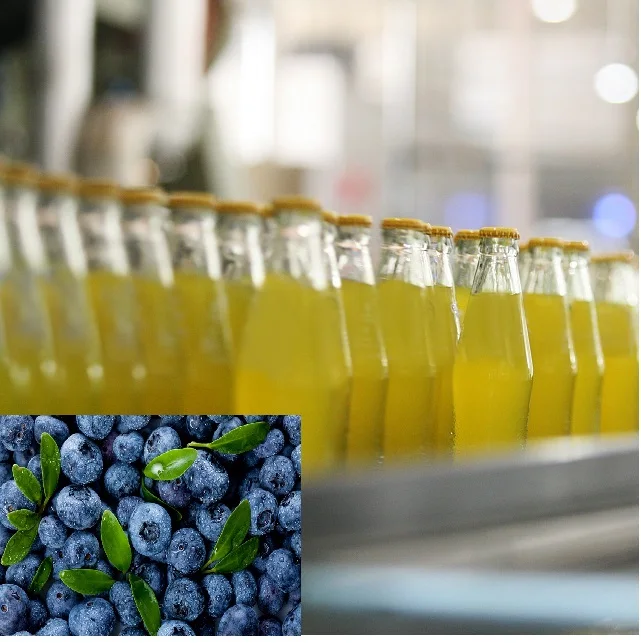 Grape Juice Production Line/ Juice Processing Machine
