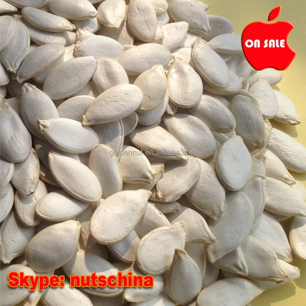 Shine Skin Pumpkin Seeds10 mm 11mm 10 cm up 11 cm up
