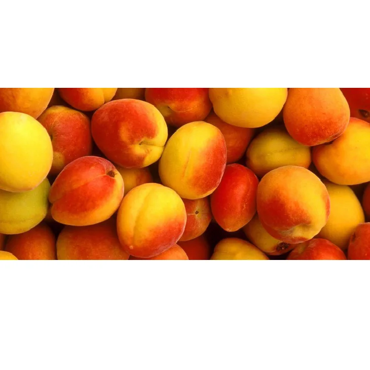 
 Сладкий свежий персиковый фрукт из Египта пустыни Балади для продажи  