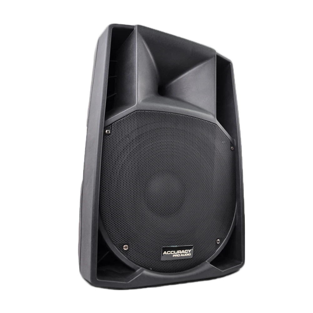 Accuracy Pro Audio CSW12 250W Powered Speaker Two-way Sound Equipment Portable Stage Speaker