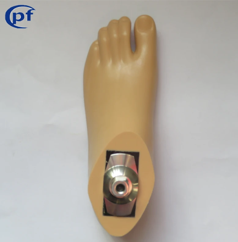 
prosthetic leg,orthopedic implants foot,fake foot Dynamic foot,polyurethane 