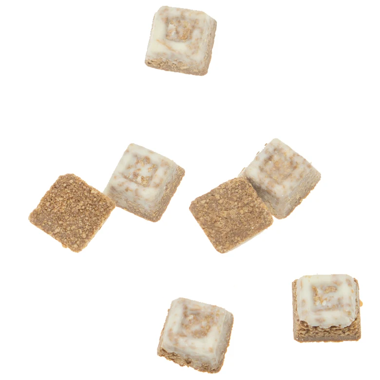 
Hot sell square shape oatmeal chocolate support OEM 