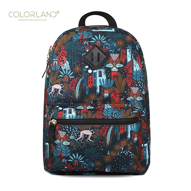 Colorland High Quality Durable Oem Pattern Kids School Bag Backpack