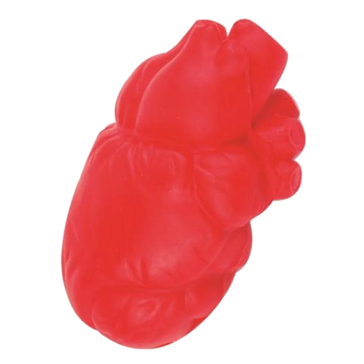 Factory Customized PU Organ Shape Kidney Toy Stress Ball For Medical Education doctor stress ball