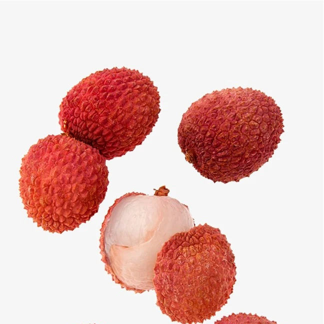 
Canned food list canned lychee organic food for indonesia food 