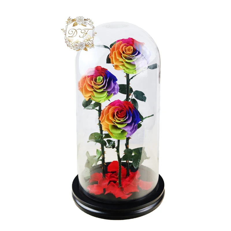 Wholesale Preserved Rose In Glass Dome For Wedding Decorations