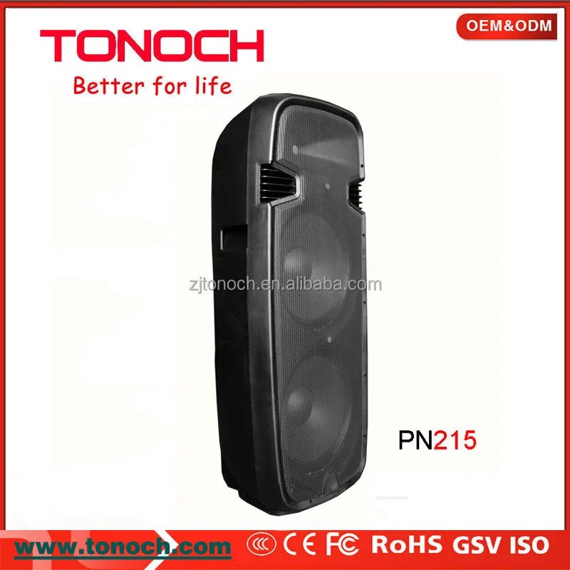 Dual 15 Inch Professional Indoor Active speaker powered speaker