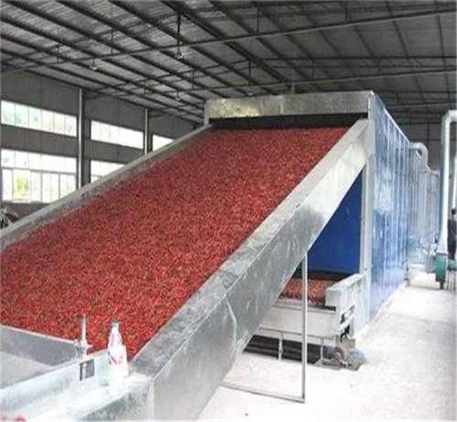 DWT2-10-3  moringa leaf drying machine